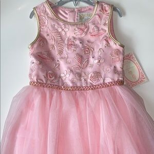 Disney Aurora Princess Dress
